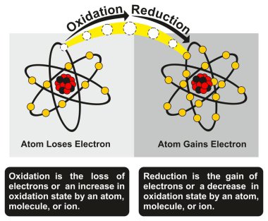 İken diğer almak kazançlar azaltılmış oksidasyon ve Redüksiyon işlemi Infographic diyagramı redoks reaksiyon onlardan biri okside iki atom arasında bir örneği ile kimya eğitimi için bir elektron bir elektron kaybeder