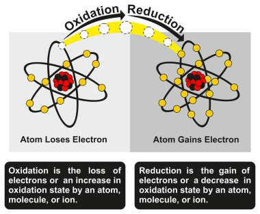 Oxidation and Reduction Process infographic diagram with an example of redox reaction between two atoms one of them get oxidized loses an electron while other get reduced gains an electron for chemistry education clipart