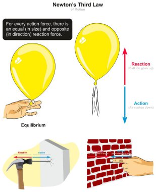 Newton üçüncü hareket kanunu Infographic diyagramını örnekleri tırnak ve parmak basın ve tepki kuvvetleri Fizik bilim eğitimi için açıklamak duvara isabet balon çekiç ile