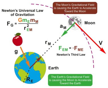 Newton Evrensel Çekim Kanunu Infographic diyagramı formül ve örnek Fizik bilim eğitimi için onların kitleler göre birbirlerinin dünya ve ay cazibe ile