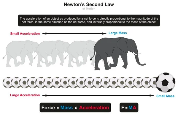 Второй Закон Ньютона Инфографическая Диаграмма Движения Примерами Слона Футбола Показывающая — стоковый вектор