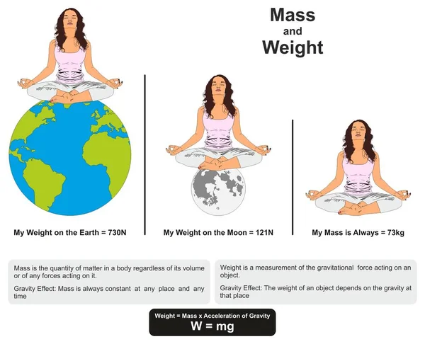 Massa Peso Física Lição Diagrama Infográfico Mostrando Diferença Entre Eles — Vetor de Stock