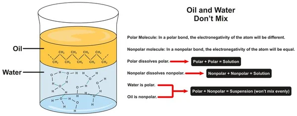 Agua Aceite Mezclan Diagrama Infográfico Que Muestra Capas Moléculas Separadas — Vector de stock