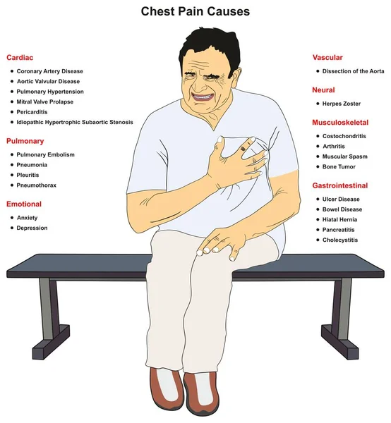 Bröstet Smärta Gemensamma Orsakar Infographic Diagrammet Inklusive Kardiella Pulmonell Känslomässiga — Stock vektor