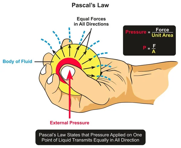 Pascals Lei Diagrama Infográfico Mostrando Exemplo Corpo Fluido Mantido Mão —  Vetores de Stock