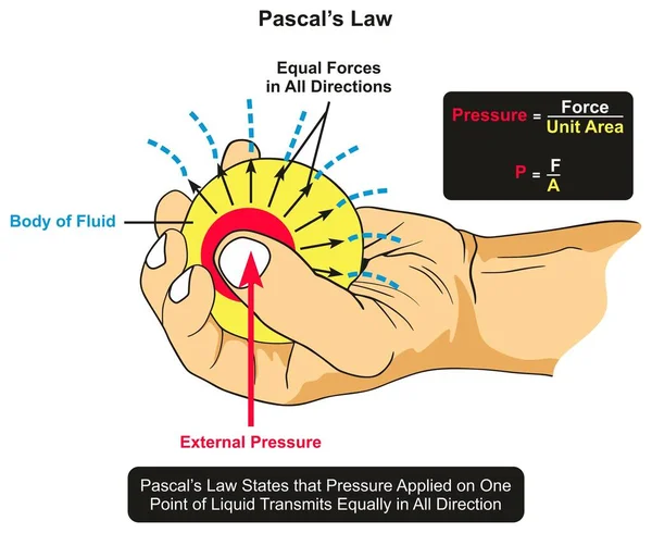 Pascals Diagramme Infographique Droit Montrant Exemple Corps Fluide Tenu Main — Image vectorielle