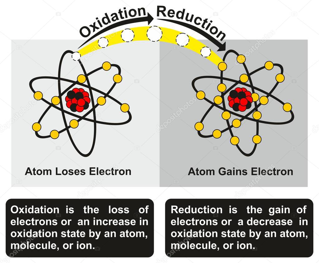 Oxidation and Reduction Process infographic diagram with an example of redox reaction between two atoms one of them get oxidized loses an electron while other get reduced gains an electron for chemistry education