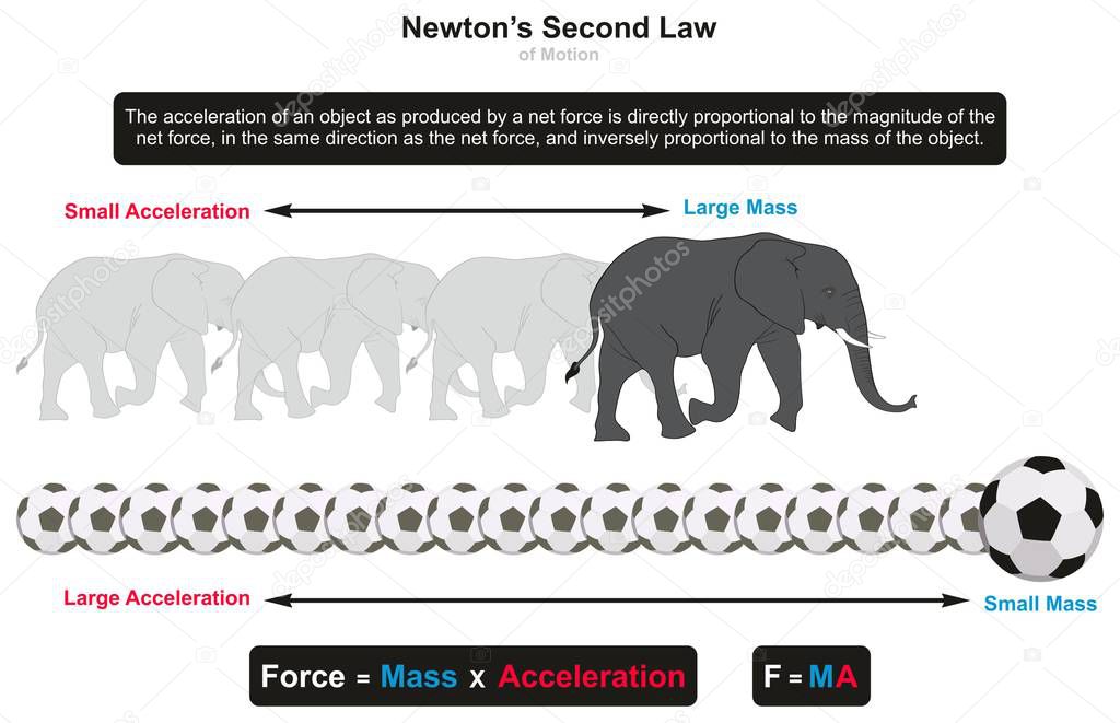Newtons Second Law of Motion infographic diagram with examples of elephant and football showing relation between an object mass and acceleration for physics science education