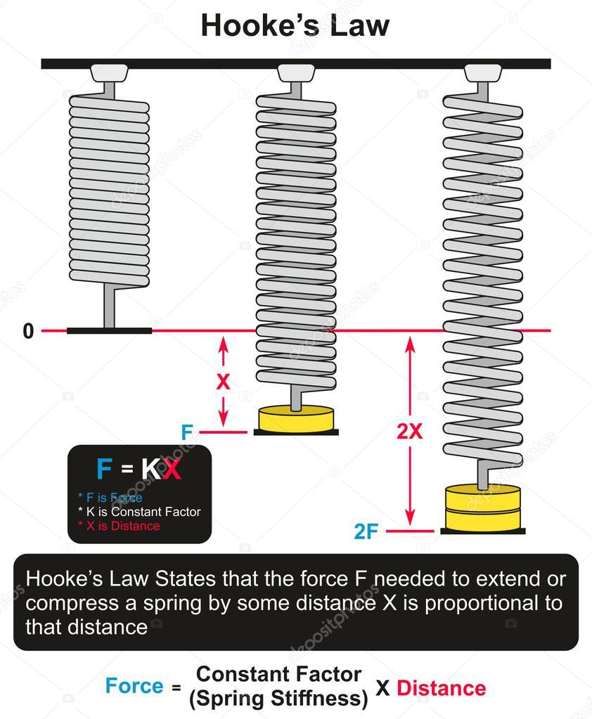 Hookes Law infographic diagram with an example of three springs one at rest and other two with different forces applied and different distances for physics science education