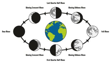 Ay yaşam döngüsü dünya pozisyon ve kan dolaşımı tam yeni mevsimsel ağda sırasında tüm aşamaları dahil olmak üzere diyagram hilal gibbous ilk son çeyrek yarısı astronomi bilim eğitimi için