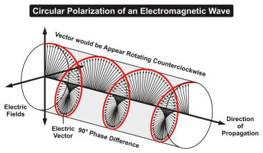 Circular Polarization of an Electromagnetic Light Wave infographic diagram showing electric fields phase difference direction of propagation rotating counterclockwise for physics science education clipart