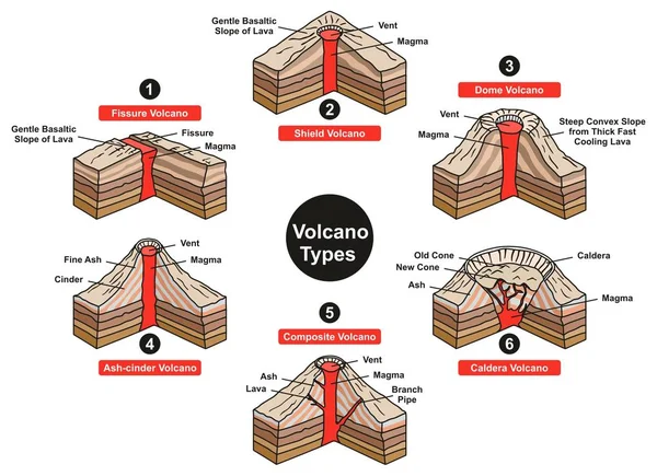 Volcán Tipos Infografía Diagrama Incluyendo Escudo Fisura Cúpula Ceniza Ceniza — Vector de stock