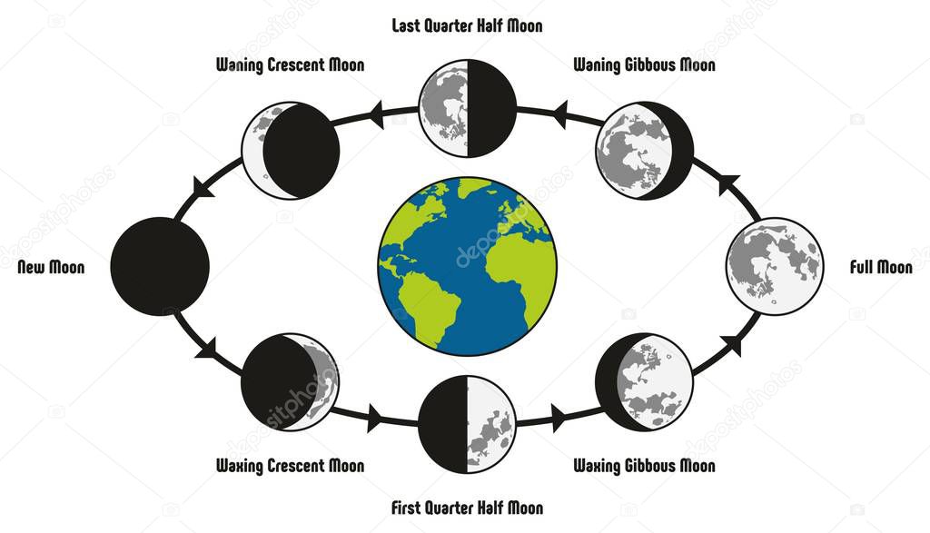 Moon Life Cycle Diagram including earth position and all phases during circulation full new waning waxing crescent gibbous first last quarter half for astronomy science education