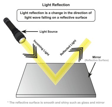 Light Reflection infographic diagram with example of light source where incoming rays reflected on a smooth shiny mirror surface for physics science education clipart