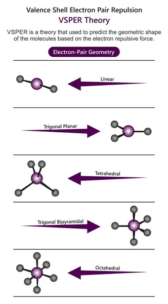 Valence Shell Electron Pair Repulsion Vsper Theory Infographic Diagram Showing — Stock Vector