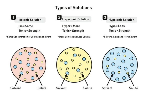 Rodzaje Rozwiązań Schemat Infograficzny Tym Izotoniczny Hipertonicznego Hipotonii Relacji Między — Wektor stockowy