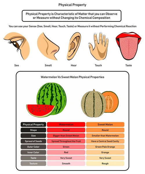 Diagrama Infográfico Propiedad Física Que Muestra Uso Cinco Sentidos Humanos — Vector de stock