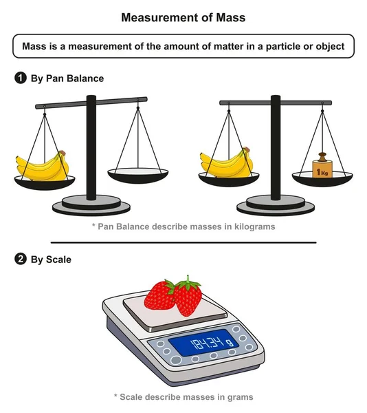 Messung Der Masseninfografik Einschließlich Schwenkwaagen Kilogramm Und Maßstäbe Gramm Für — Stockvektor