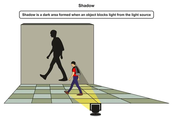 Diagrama Infografía Sombras Con Ejemplo Niño Bloqueando Luz Fuente Luz — Archivo Imágenes Vectoriales