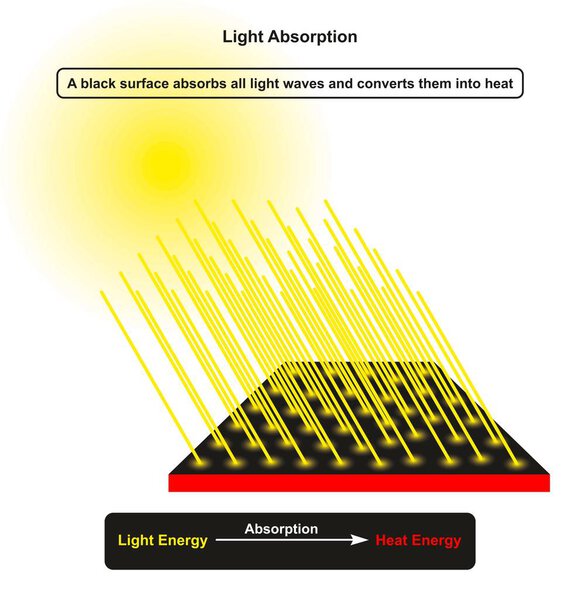 Инфографическая диаграмма поглощения света, показывающая солнце в качестве источника света и входящие световые лучи, ударяющие по поверхности тёмного объекта, которые поглощают его и преобразуют его в тепловую энергию для физического образования.
