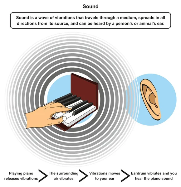 声音信息图 包括定义和示例 弹钢琴释放振动 然后周围的空气振动移动到耳膜和听觉声音的物理科学教育 — 图库矢量图片