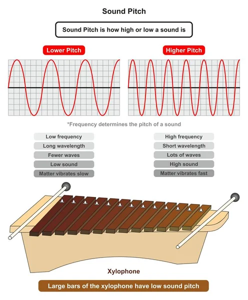 Sound Pitch Infographic Diagram Met Vergelijking Van Hoge Lage Frequentie — Stockvector