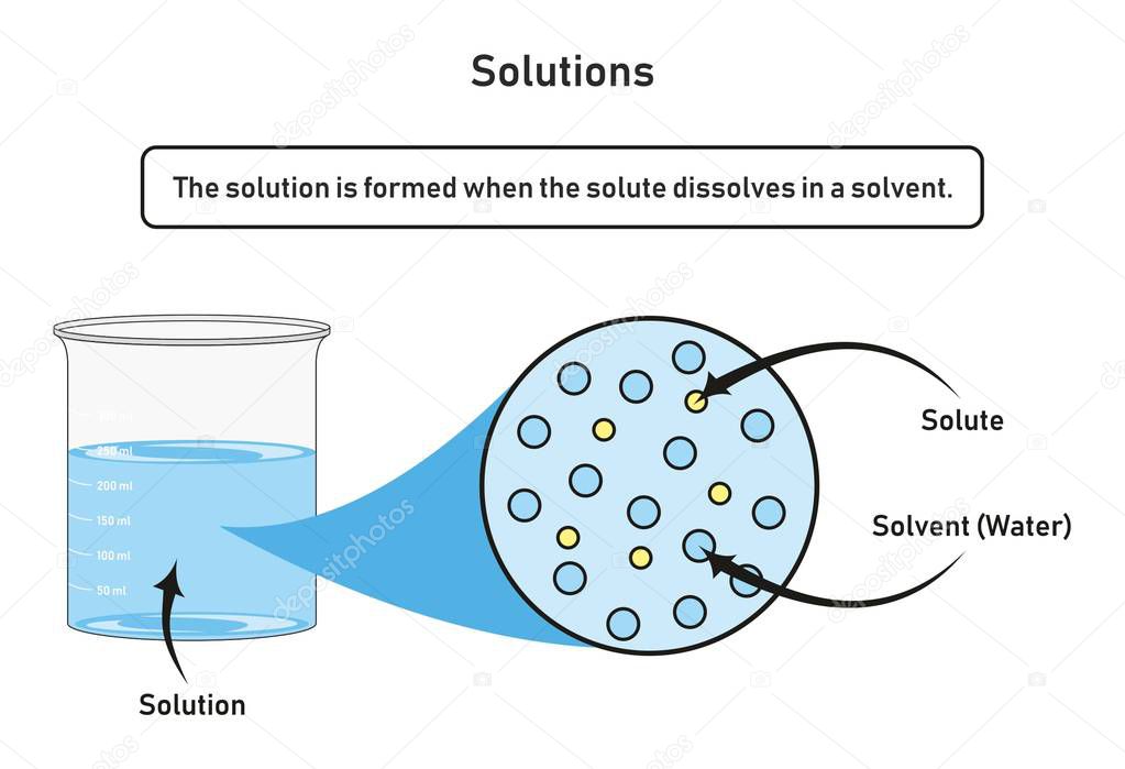 Solution infographic diagram showing container filled by solution which formed when the solute dissolved in a solvent for chemistry science education