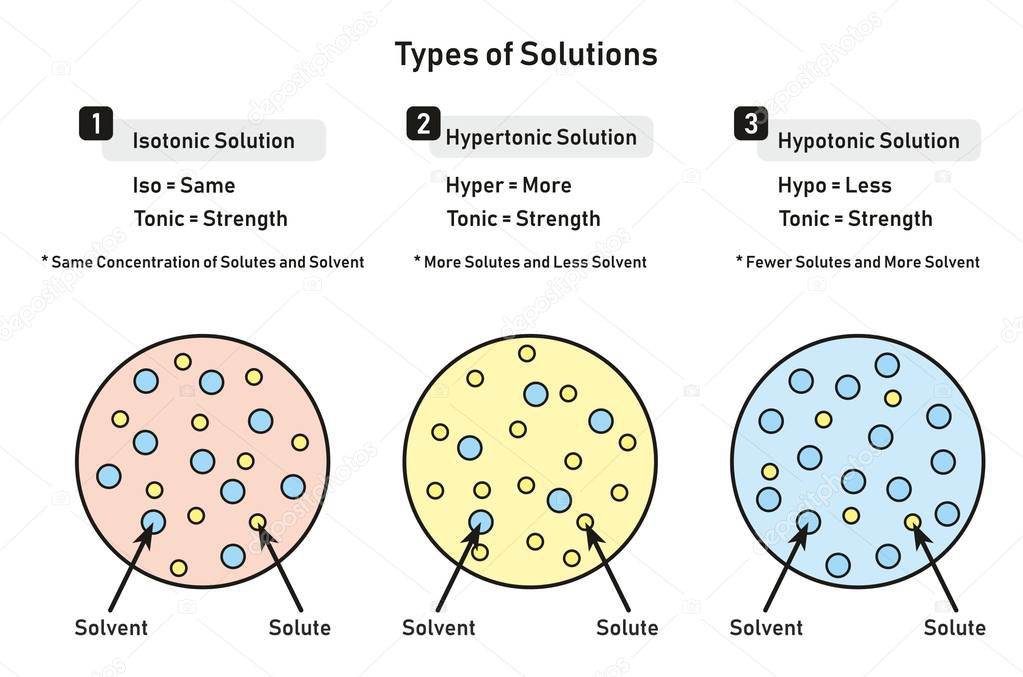 Types of Solutions infographic diagram including isotonic hypertonic hypotonic and relation between solute and solvent for chemistry science education