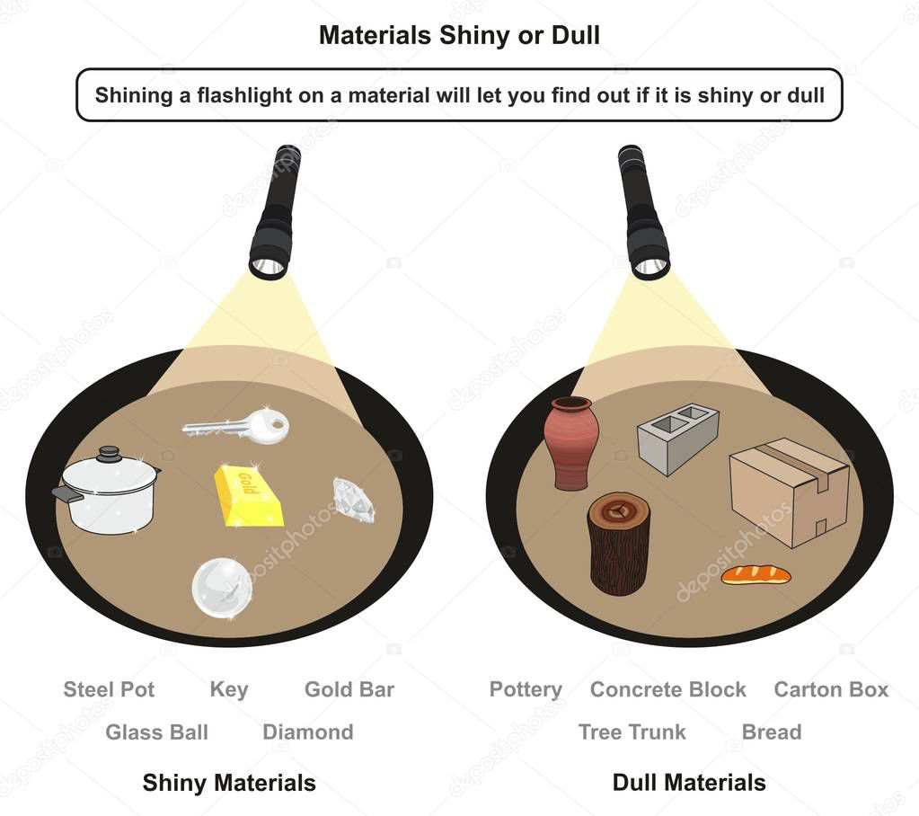 Materials Shiny or Dull infographic diagram showing examples of both when shining flashlight on it including steel pot gold bar key diamond glass ball pottery block box for physics science education