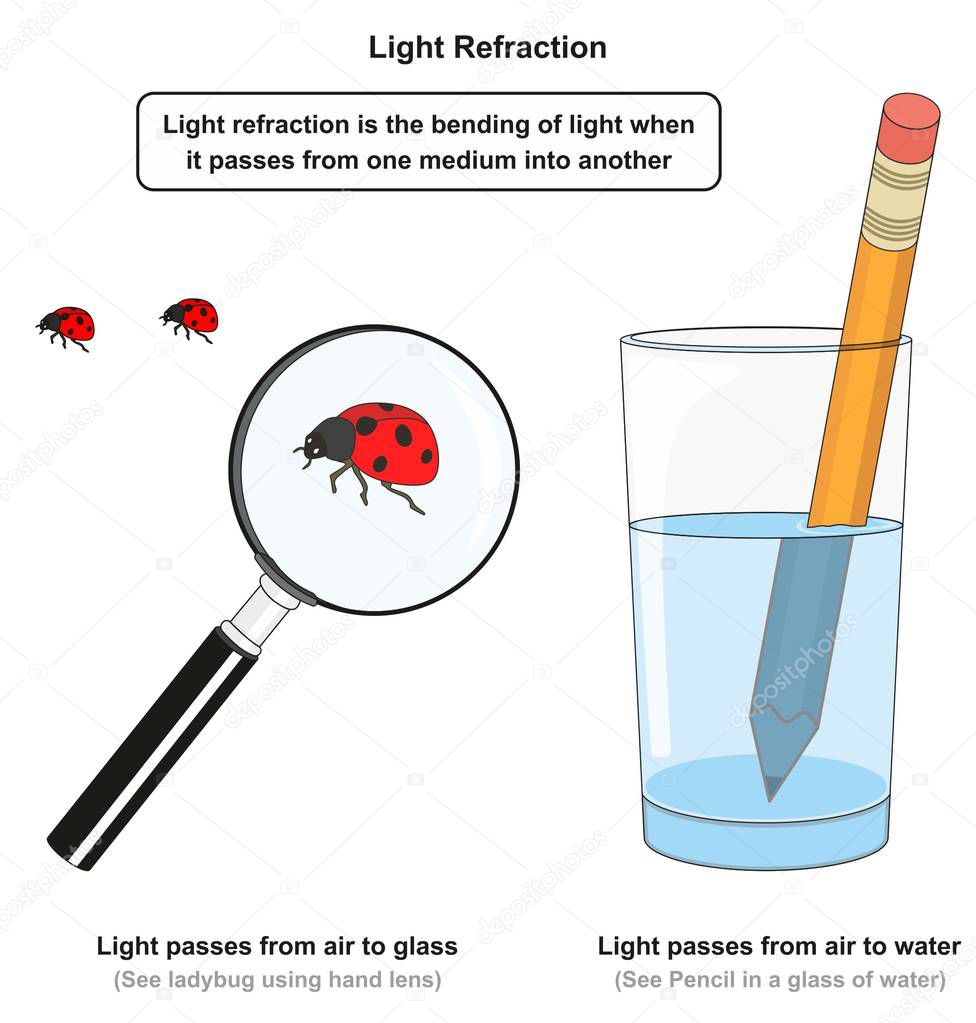 Light Refraction infographic diagram with examples of pencil in a glass of water and using hand lens to see ladybug for physics science education