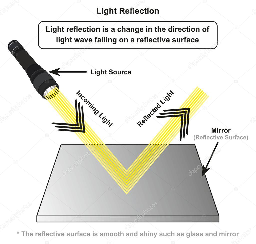 Light Reflection infographic diagram with example of light source where incoming rays reflected on a smooth shiny mirror surface for physics science education