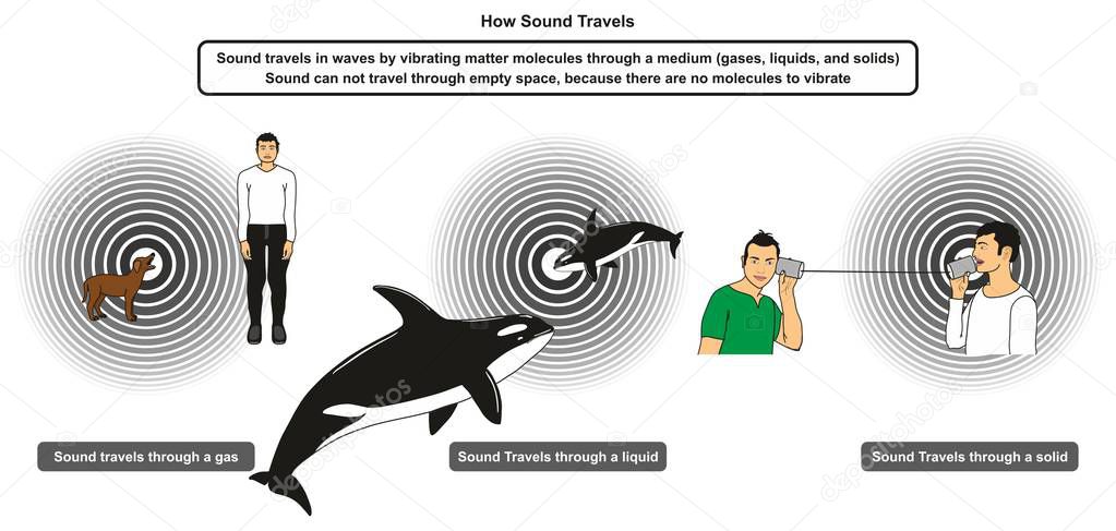How Sound Travels infographic diagram showing the mechanical waves travel in different mediums including gas liquid and solid for physics science education