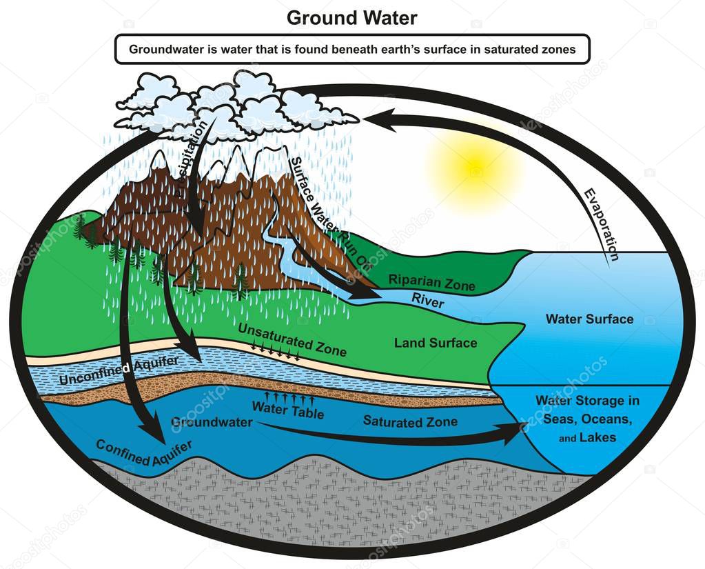 Groundwater infographic diagram showing cycle of water and how it gets stored in saturated zones of earth layer at confined aquifer also showing water table for geology science education