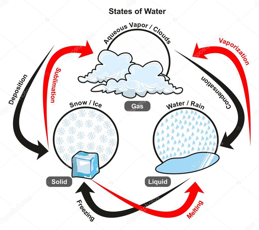 States of Water infographic diagram including gas liquid and solid also showing all processes vaporization condensation melting freezing deposition and sublimation for physics science education