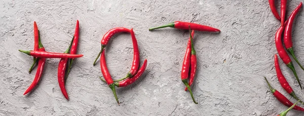 Arka plan tablo organik taze gıda kavramı tarım hasat Chili biber Yazıtı sıcak baharatlı baharat gri taş beton