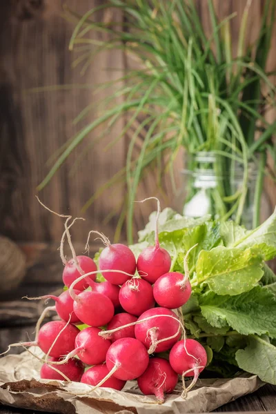 Pęczek Świeżego Rzodkiewka Młodych Warzyw Żywności Organiczne Wegańskie Diety Detox — Zdjęcie stockowe