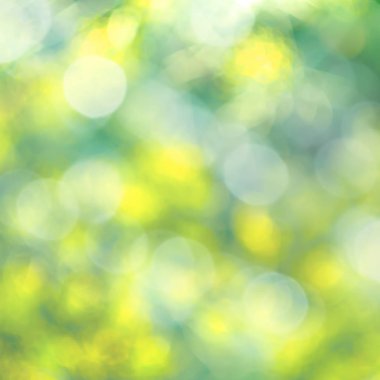 Arka plan bulanıklık sabah bahçe ile bokeh yeşil yeşillik ağacının seçici odak parlak ilkbahar yaz