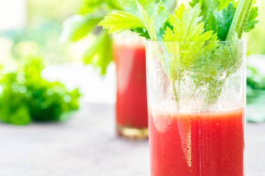 İki bardak domates suyu Bahçe organik sebze ev yapımı yaprak maydanoz ve kereviz tablo karşısında günbatımı güneş ışığı yeşil bahçe içinde dal ile dekore edilmiş.