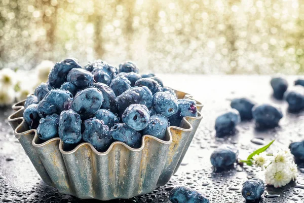 Letní plody zimolezu v kovové formy pro pečení — Stock fotografie