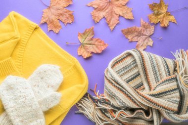 Eşarp ve beyaz kabarık ev yapımı mittens yukarıdan düşmüş akçaağaç yaprağı mor Kağıt arka plan düz üzerinde yatıyordu sonbahar sonbahar kış moda mevsimlik kavramı kazak hırka İskandinav örme.