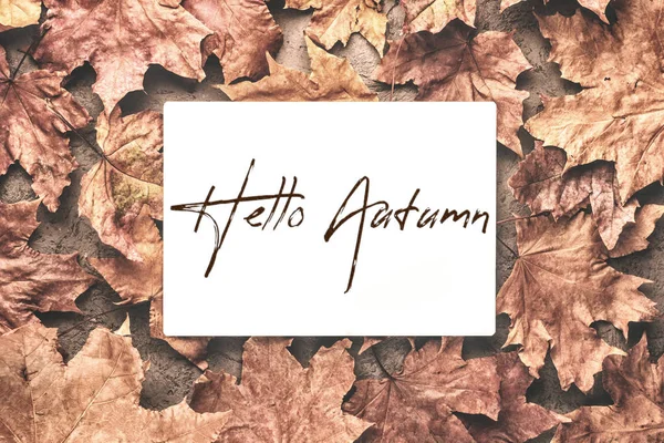 Hello Autumn Maple Withered Dried Leaves Background Withplace Text Inscription — Stock Photo, Image