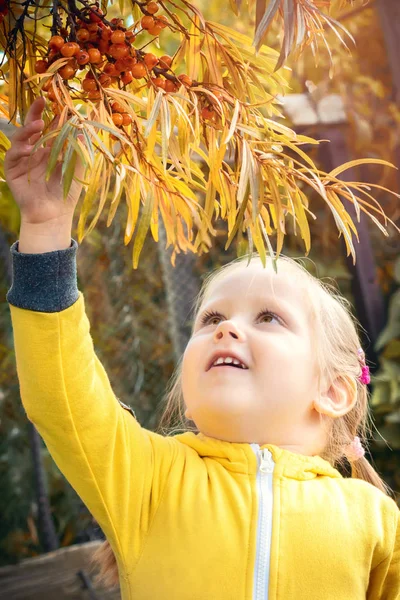 Das Kleine Mädchen Gelben Anzug Mit Blonden Haaren Sammelt Sich Stockbild