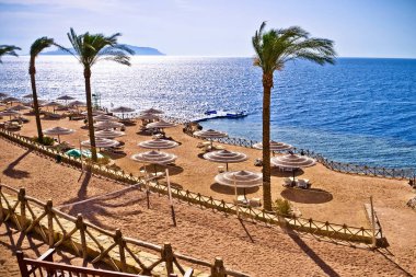 Mısır Kızıldeniz Sina Yarımadası Sharm El Sheikh manzara deniz manzarası Turizm boş kumsala olmadan insanlar, güneşten şemsiyelerle saman plaja görüntülemek ve yataklar güneş