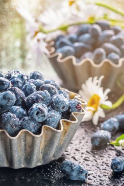 Yağmur damlaları güneş ışığı ile cam pencerenin önünde papatya çiçeği ile pişirme için metal formlar yaz Hanımeli meyveleri. Gıda kavramı hasat tarım fırını. Natürmort önden görünümü
