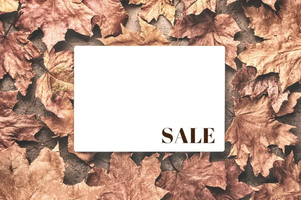 Maple Autumn Withered Dried Leaves Background Place Text Copy Space — Stock Photo, Image