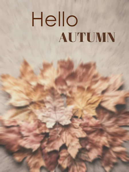 Hello Autumn Maple withered dried leaves Background — Stock Photo, Image