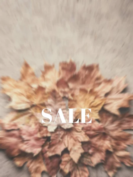 Verkoop Maple herfst verdord gedroogde bladeren achtergrond — Stockfoto