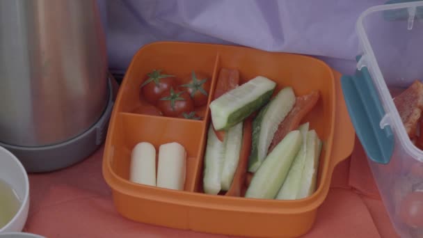 Tangan perempuan dan tangan laki-laki mengambil makanan ringan sehat dari kotak makan siang — Stok Video