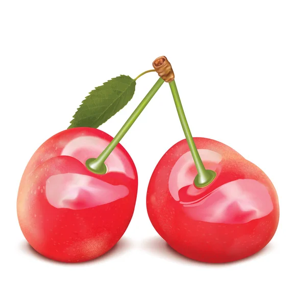 Cherries Leaves Vector Illustration — Stock Vector
