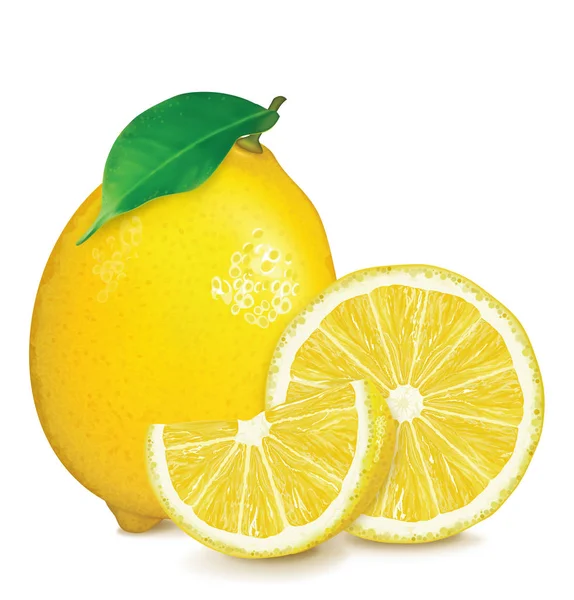 Färsk citron med löv och skivor. Vektorillustration — Stock vektor